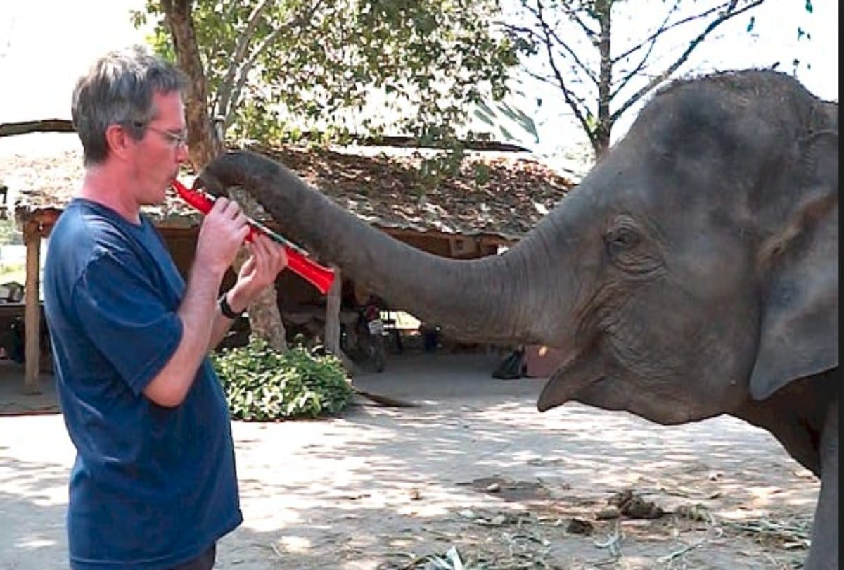 thailand elephant senctuary know interesting