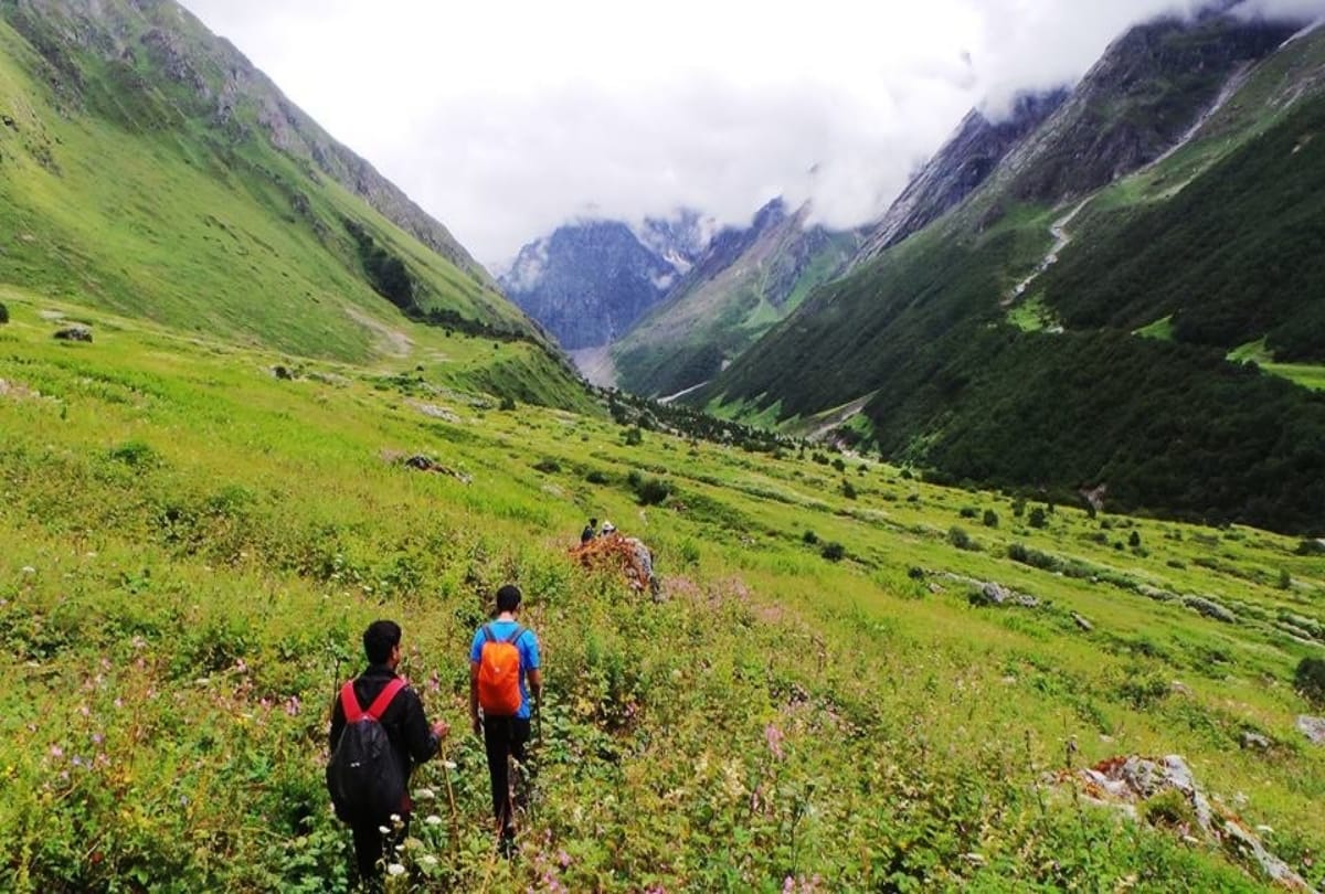 visit uttarakhand valley of flowers in monsoon 2019 hanuman pick sanjeevani