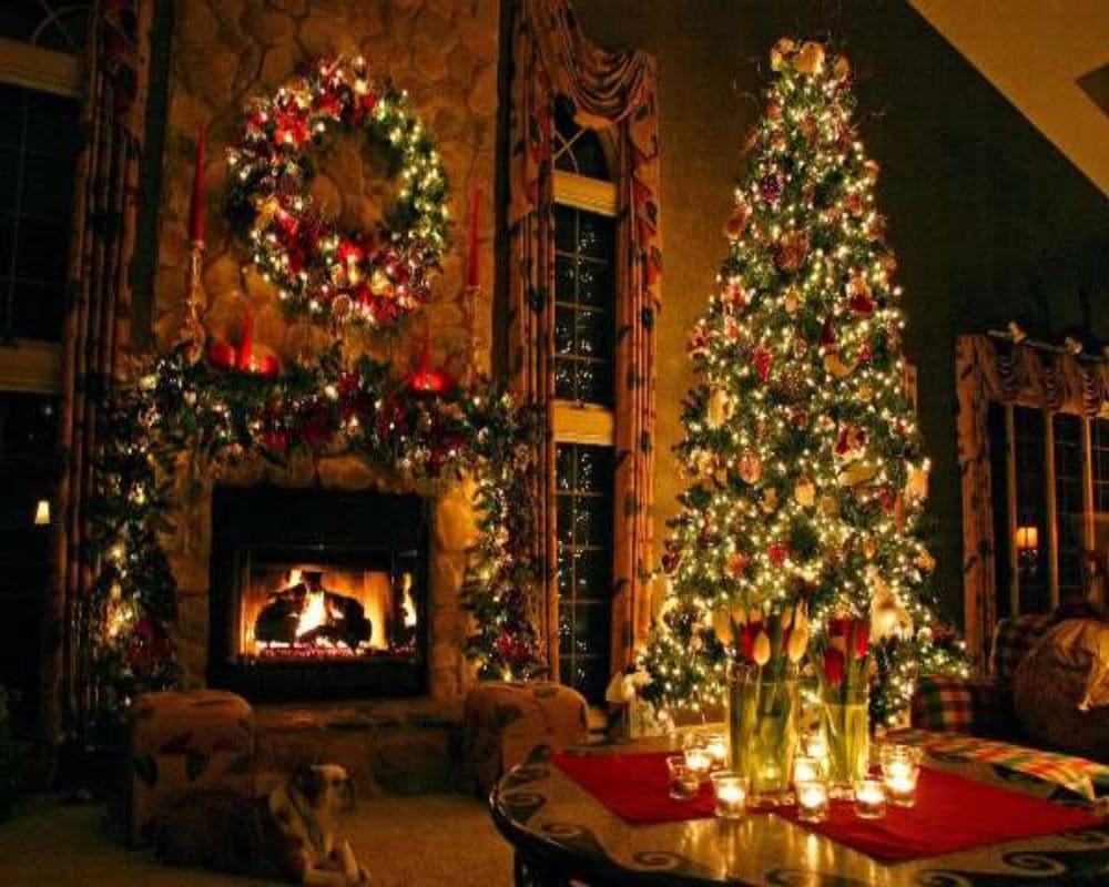 Know why christmas tree is lucky for you