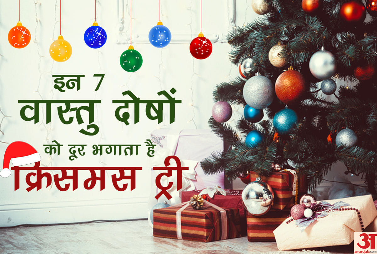 Merry Christmas 2018: Christmas tree can bring good luck and happiness in your life