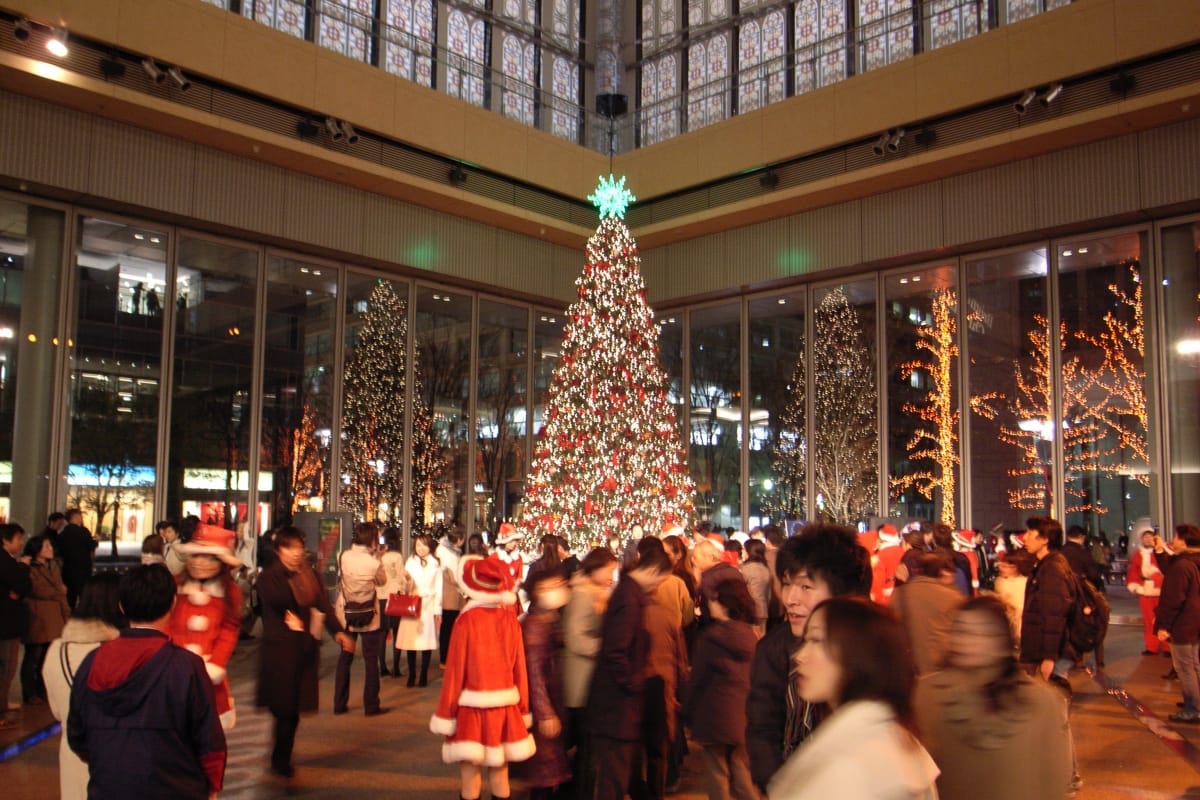 Know why christmas tree is lucky for you