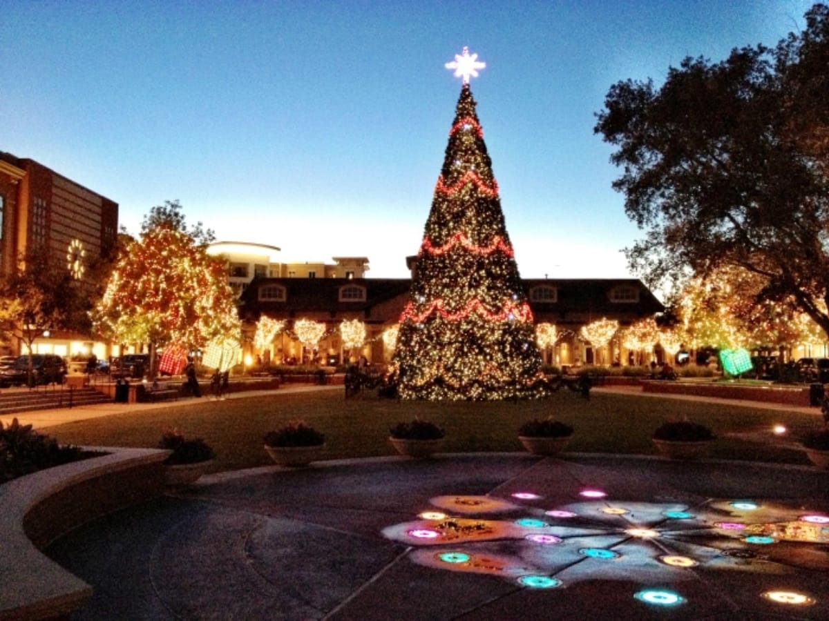 Know why christmas tree is lucky for you