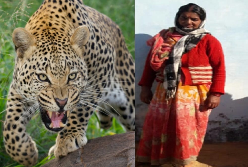 Bahu Fight with leopard for Saving mother in law in almora