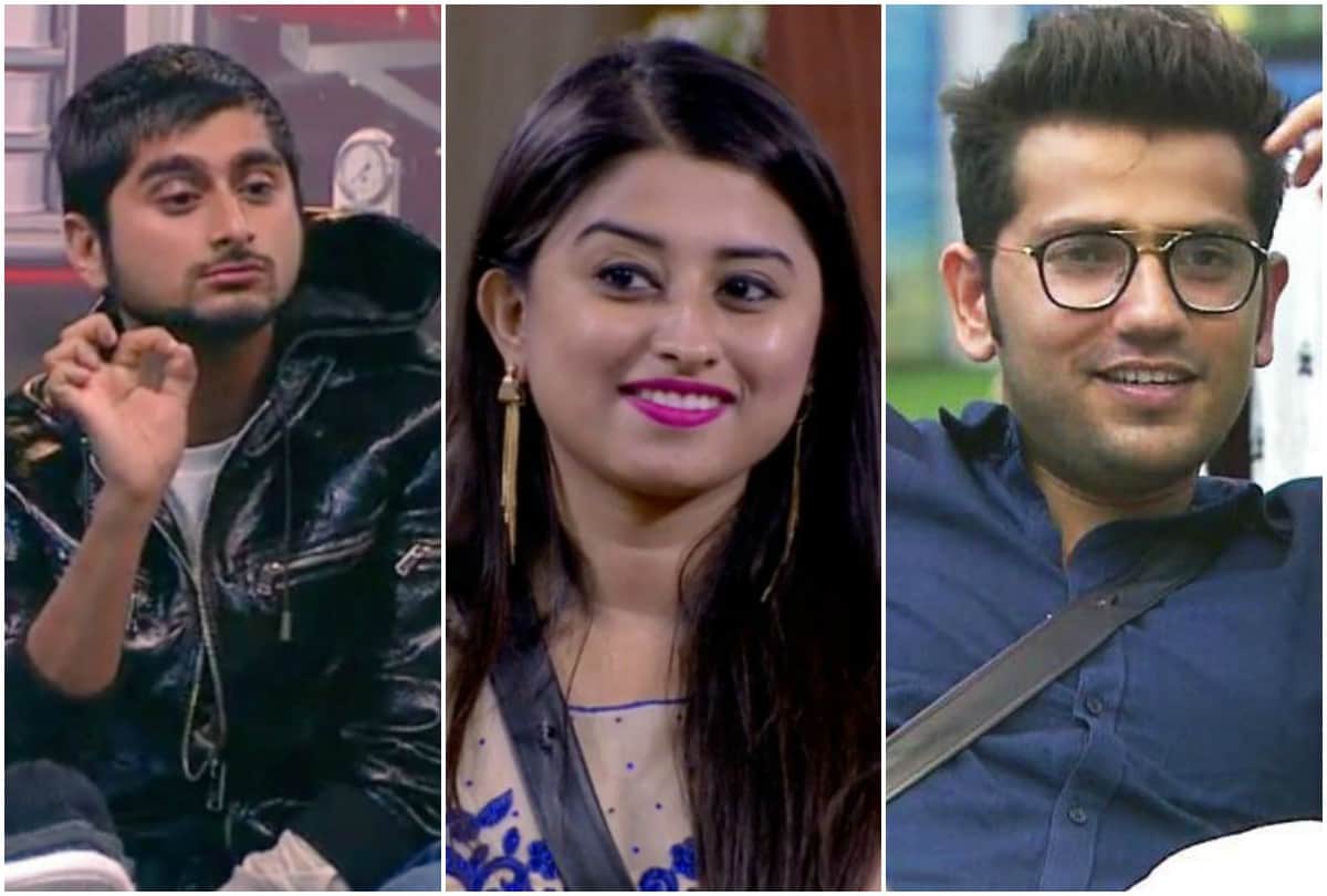Bigg Boss 12 Somi Khan evicted revealed shocking things about Deepak Thakur Romil Chaudhary