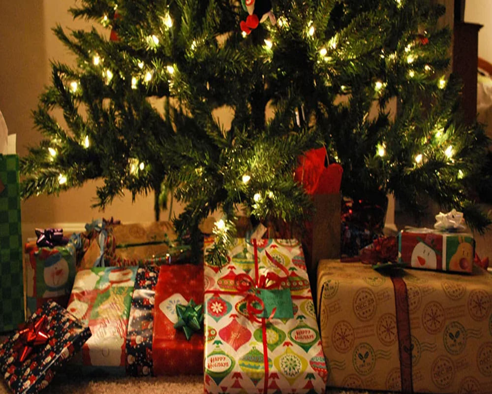 Merry Christmas 2018: Know about those 5 things which make christmas special