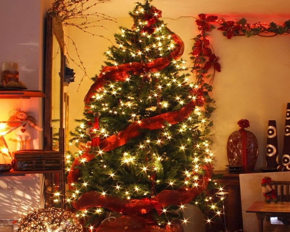 Weekly vrat festivals and its muhurat 23 december to 29 december 2019