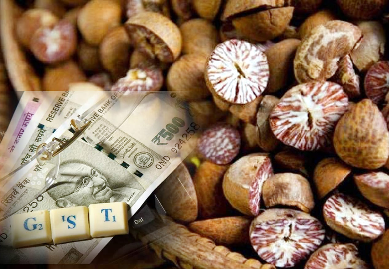 GST Intelligence gets 200 Crore illegal business of Betel