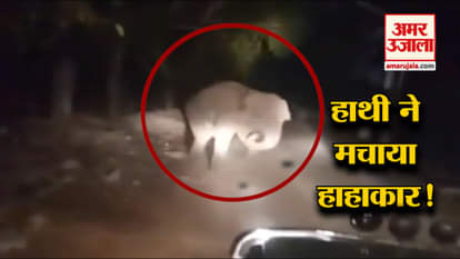 ELEPHANT ENTERS RESIDENTIAL AREA IN CUTTAK ODISHA