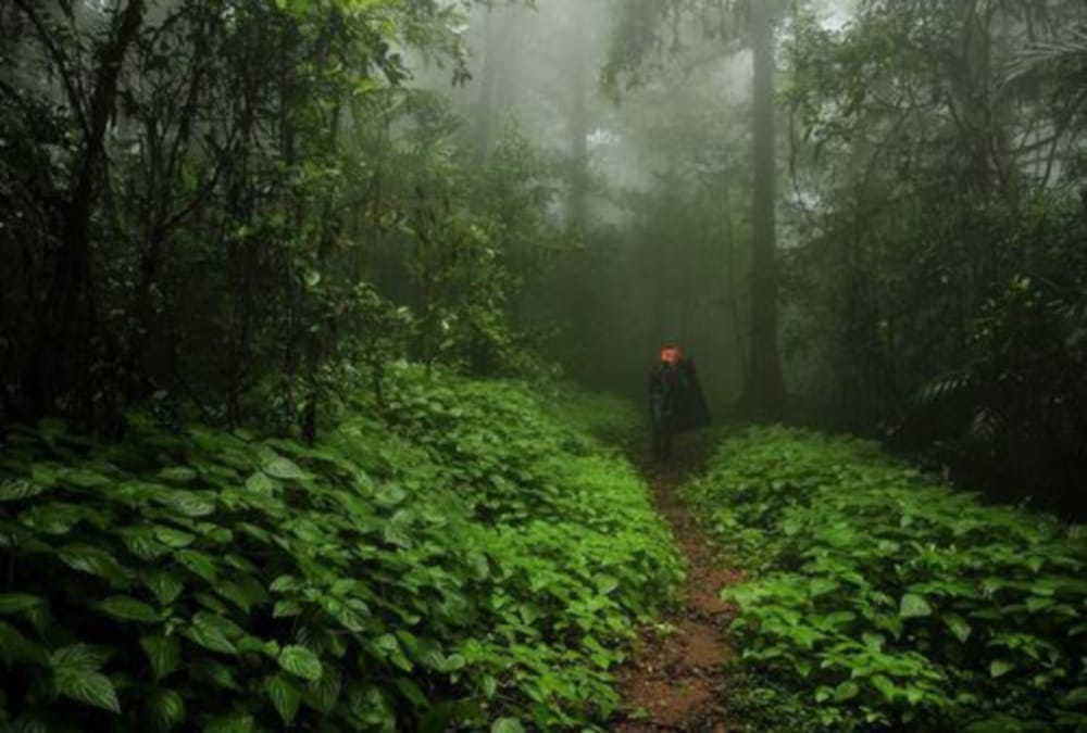 man got hunted in jungle of akhnoor jammu kashmir in suspicious way