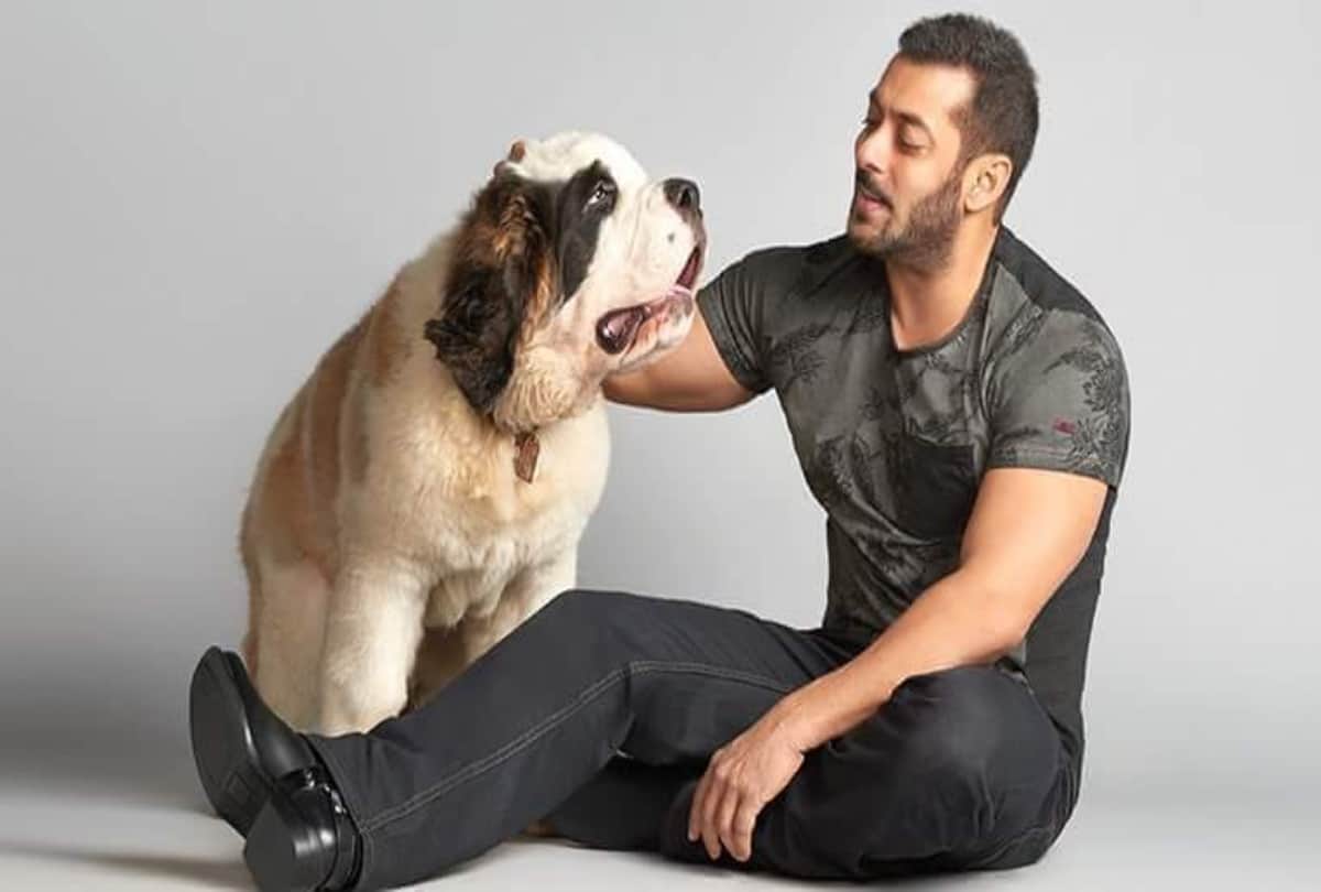 salman khan was spotted with lulia vantur before a day of birthday