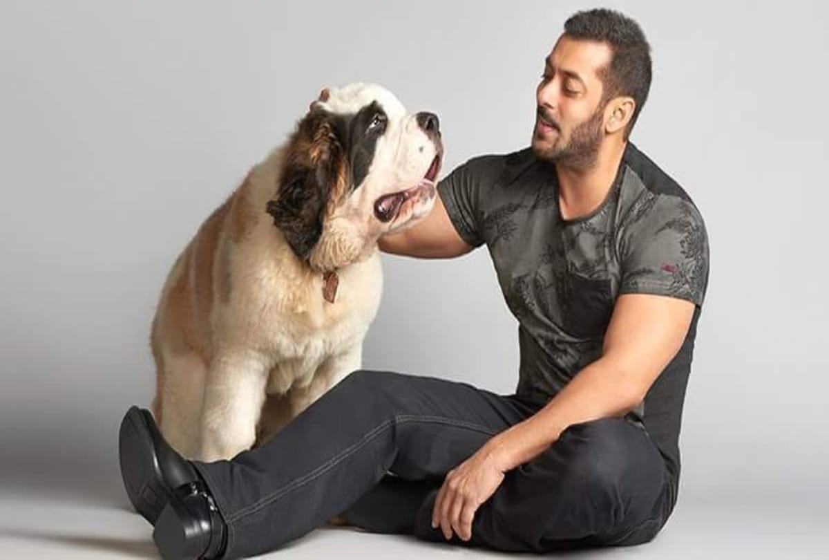 salman khan was spotted with lulia vantur before a day of birthday