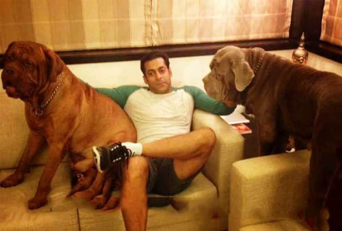 salman khan birthday special salman new house