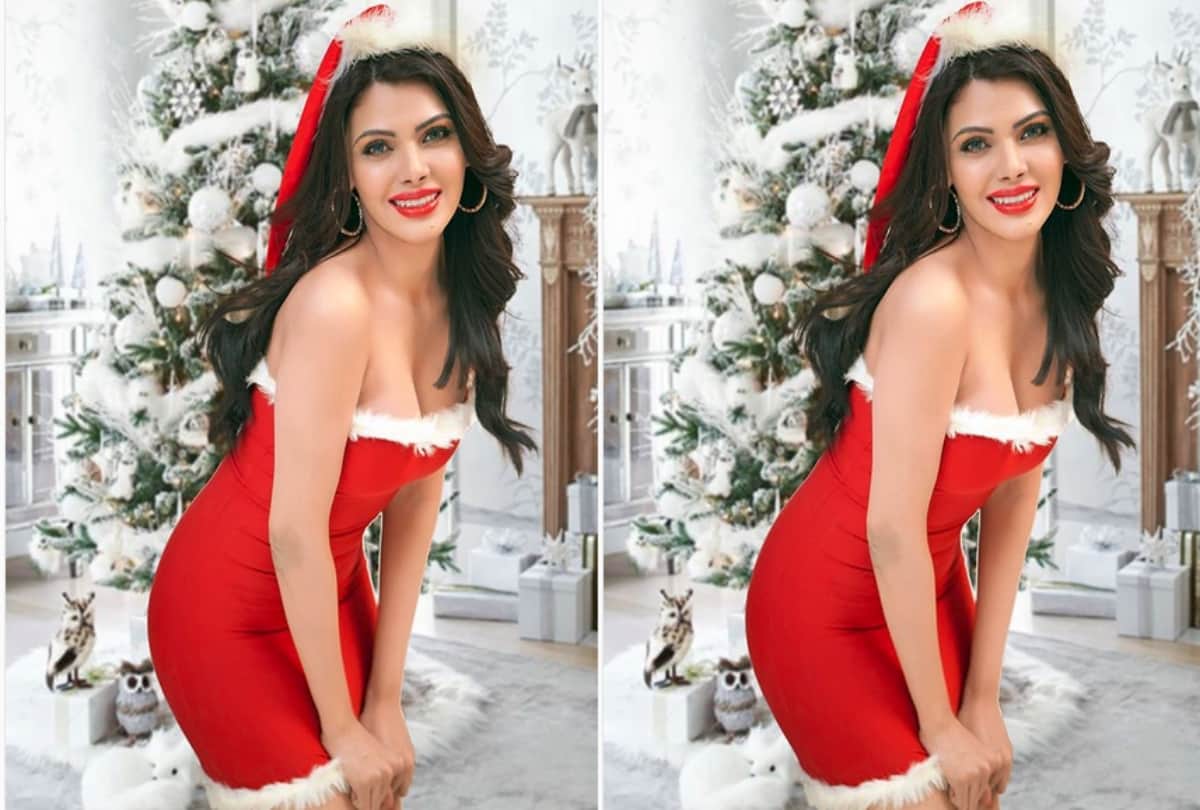 sherlyn chopra becomes sexy santa gets trolled