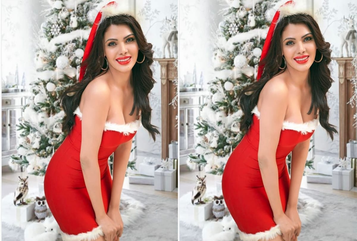 sherlyn chopra becomes sexy santa gets trolled