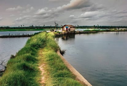 kerla is the best place for destination wedding