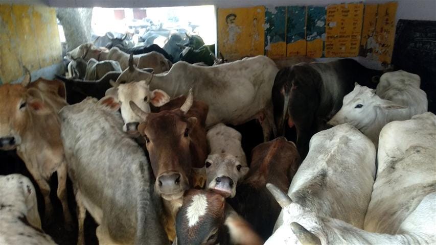 Govans closed in schools in Patani, Khutipuri, stalling studies