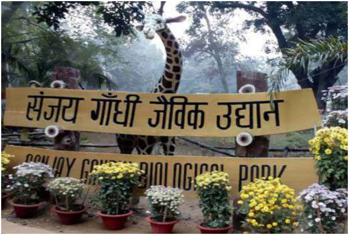 Bird flu attack, six peacock died in patna zoo closes till further information munger