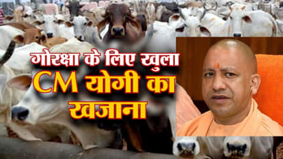 160 carores for cow protection and sheds by yogi adityanath government in uttar Pradesh