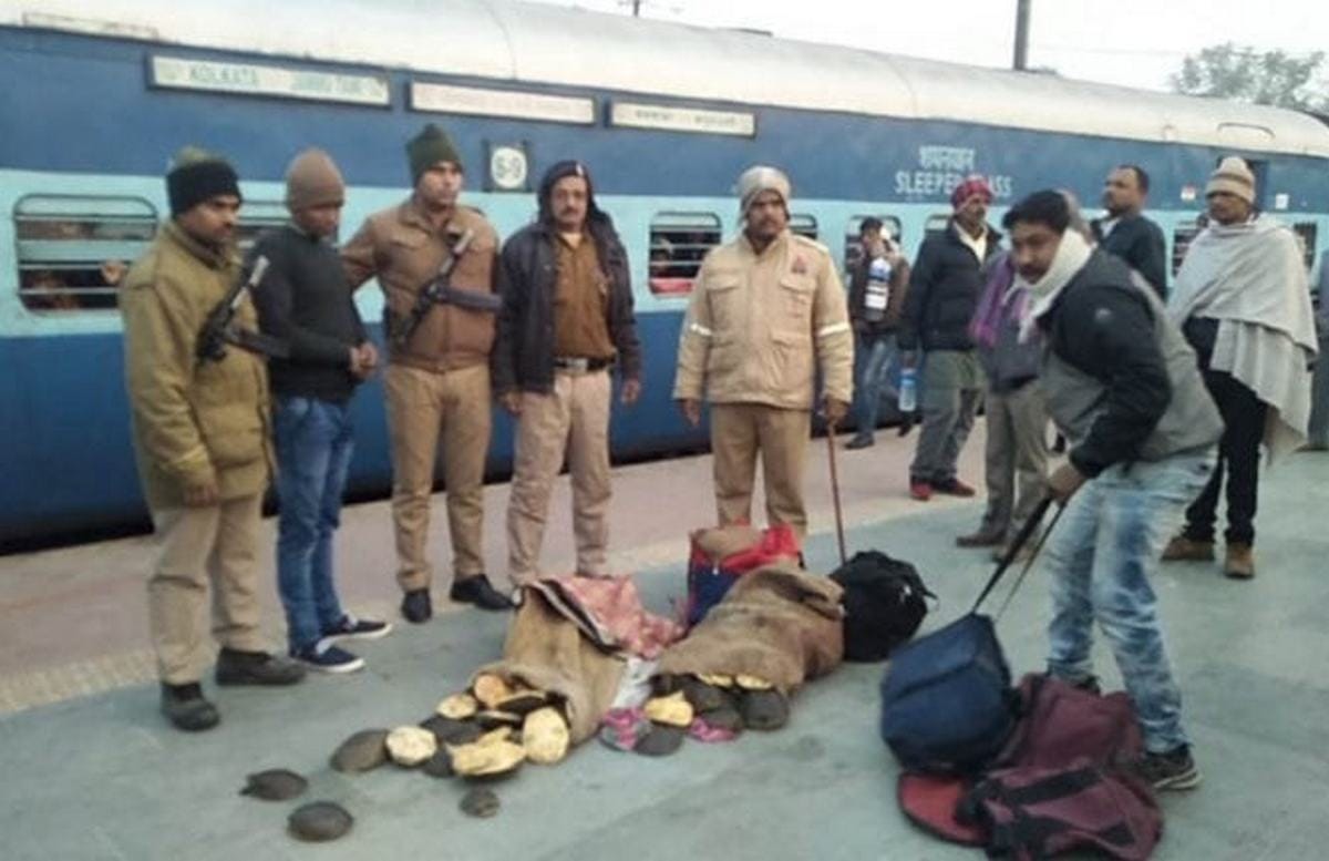 RPF recovered tortoise on railway station in varanasi and smuggler arrested