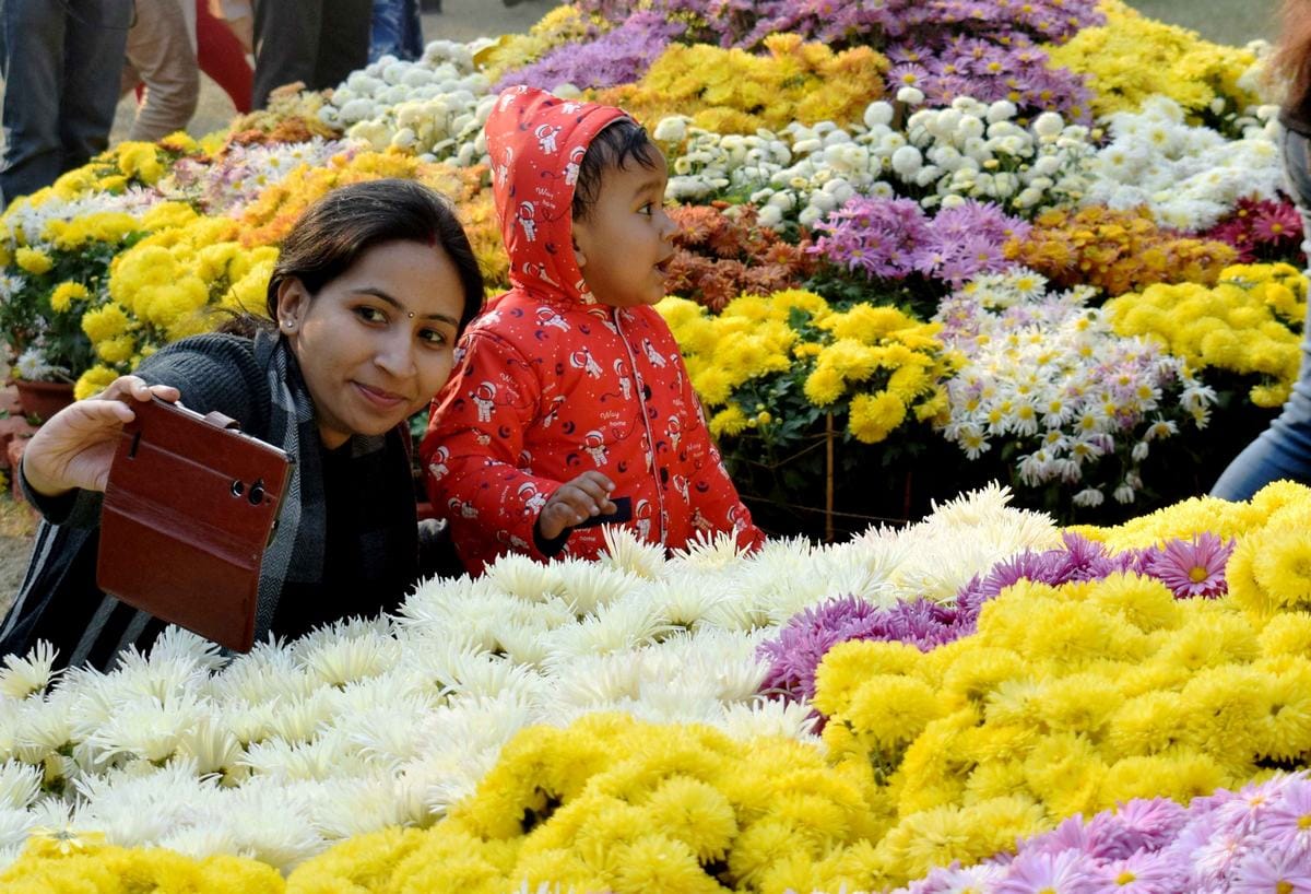 Flower exhibition second day in BHU