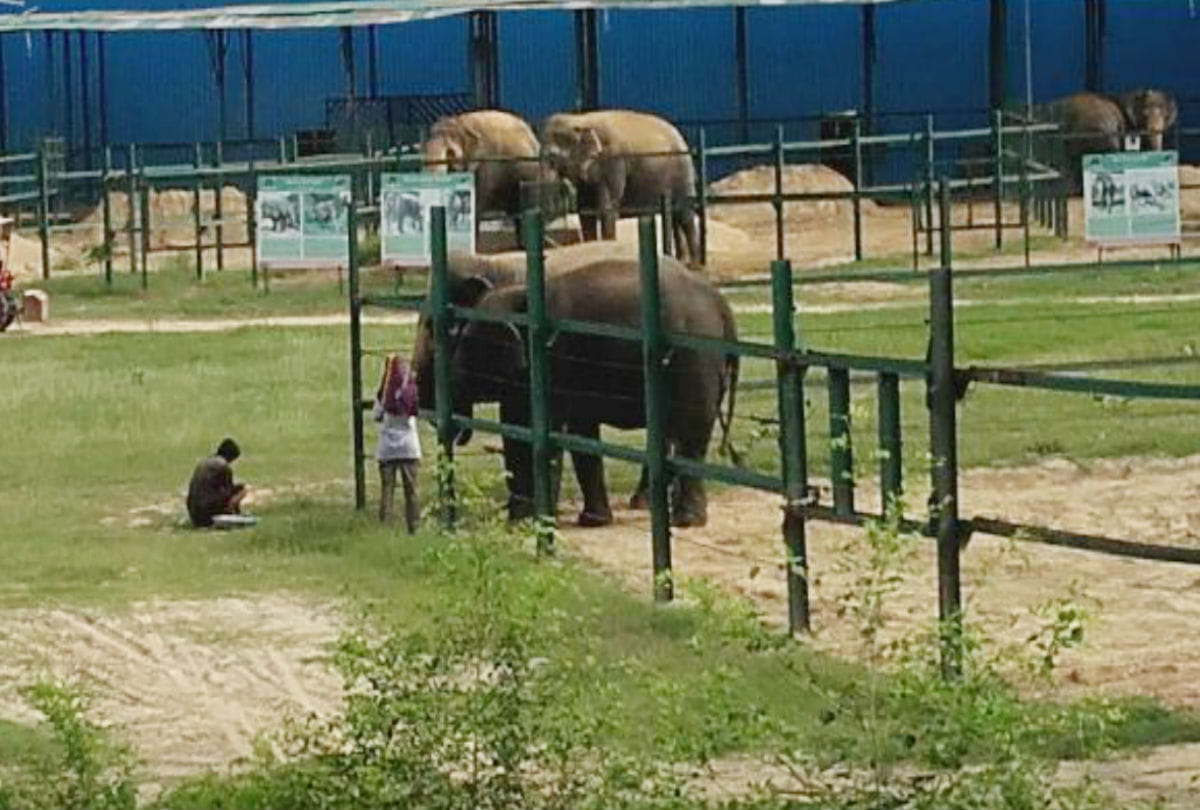 first elephant memorial of india being built in Churmura Village  Mathura