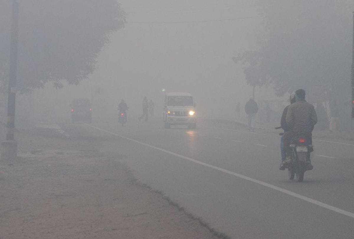 fog and cold wave in agra weather news