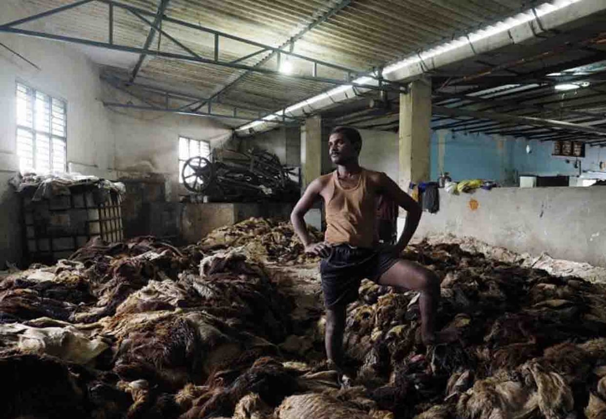 Order to close 19 tanneries of Kanpur