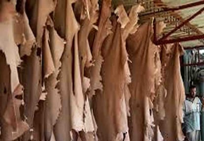 Order to close 19 tanneries of Kanpur
