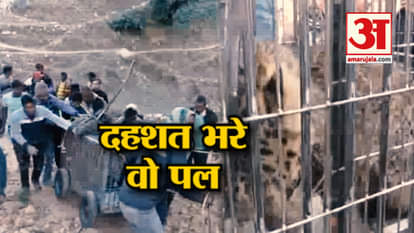 A LEOPARD ENTERED IN VILLAGE OF BAGESWAR IN UTTARAKHAND