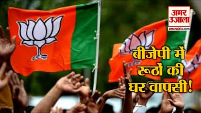 TOP 5 NEWS INCLUDING gordhan zadaphia important responsibility in bjp