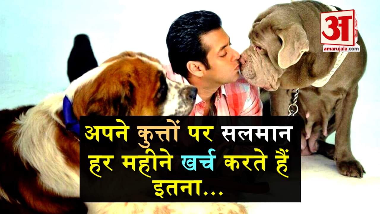 डिजाइन पिक्चर