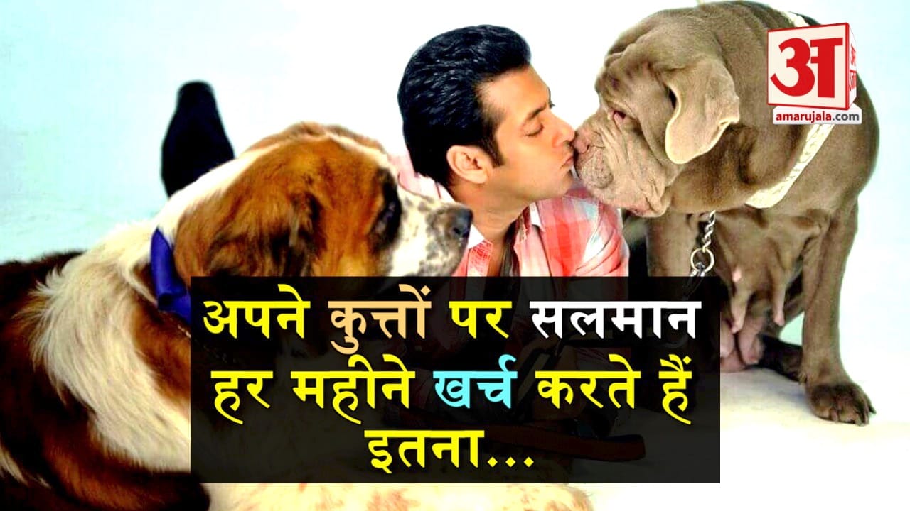 डिजाइन पिक्चर