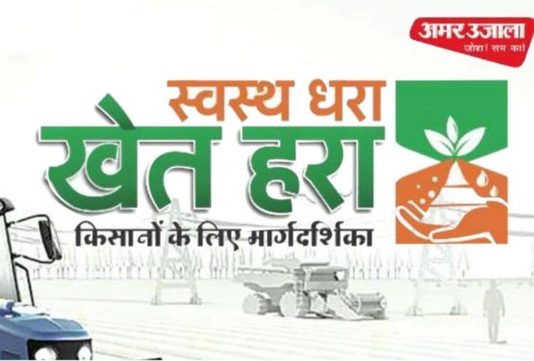 Minimum support price scheme farmers got good value of crop