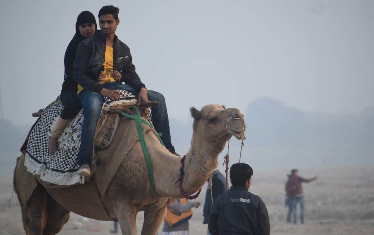 Winter season start people enjoy on across ganga in varanasi
