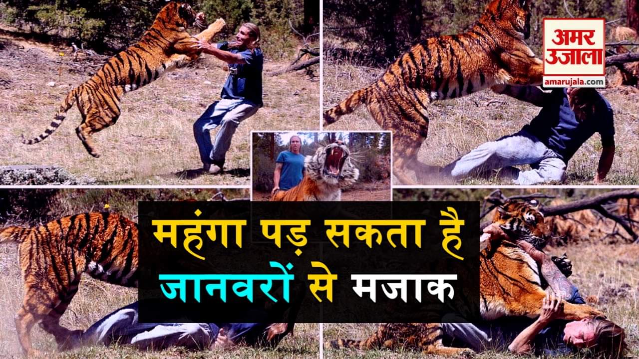 डिजाइन पिक्चर