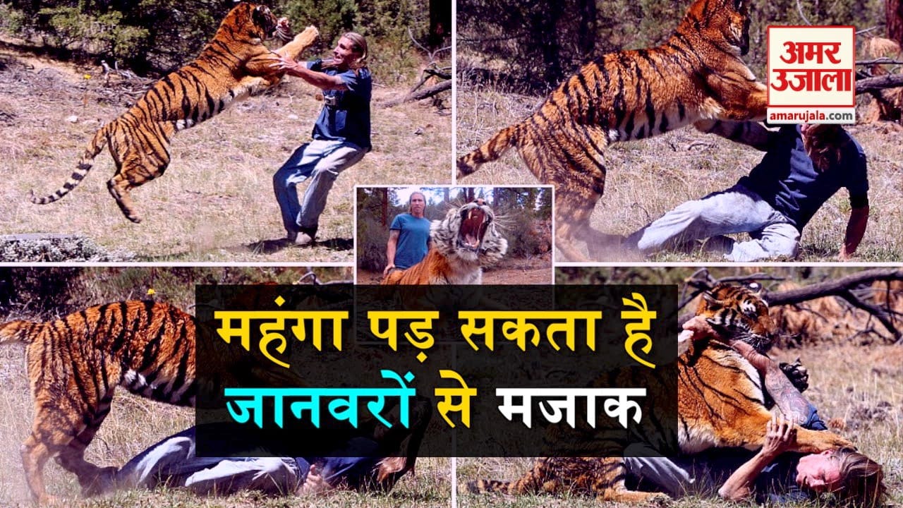डिजाइन पिक्चर