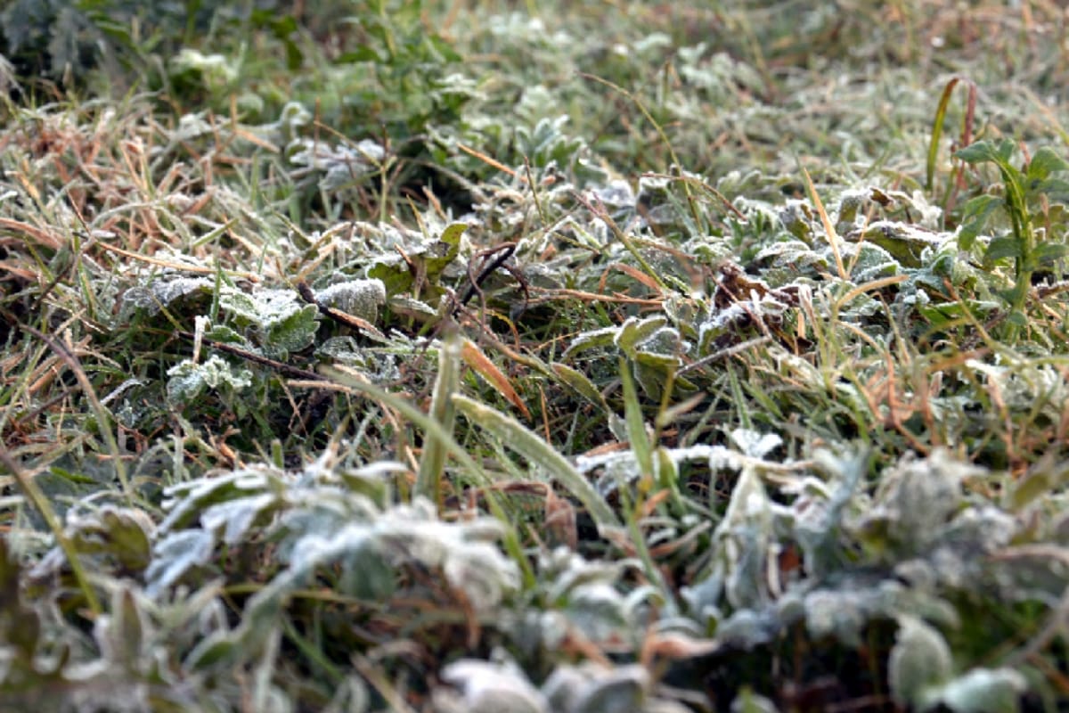 shivering cold,people facing record breaking Winter in western UP
