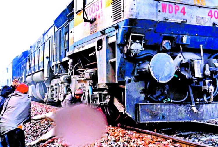 3 bulls gone killed because of coming in collision of train in sangrur of punjab