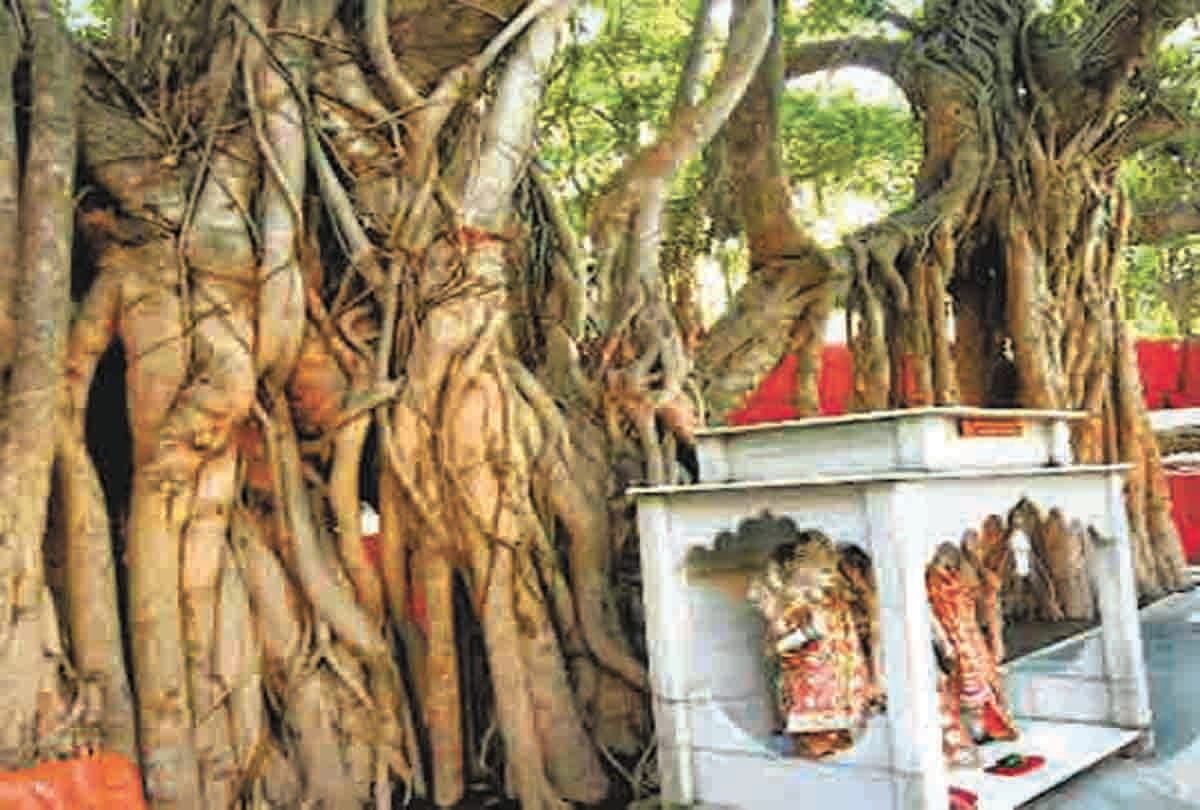 Kumbh 2019- akshayavat open for devotees before shahi snan, high security camera installed