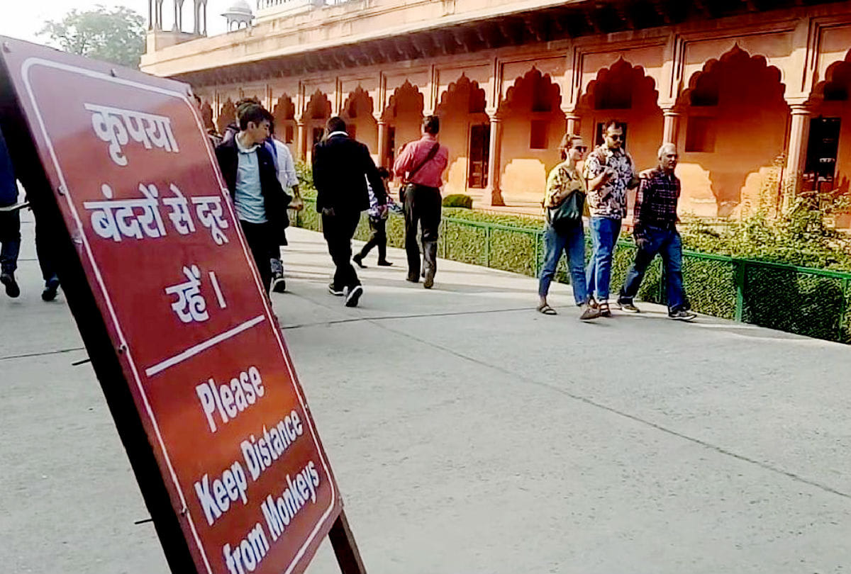 warning boards set up over monkeys terror in Taj Mahal