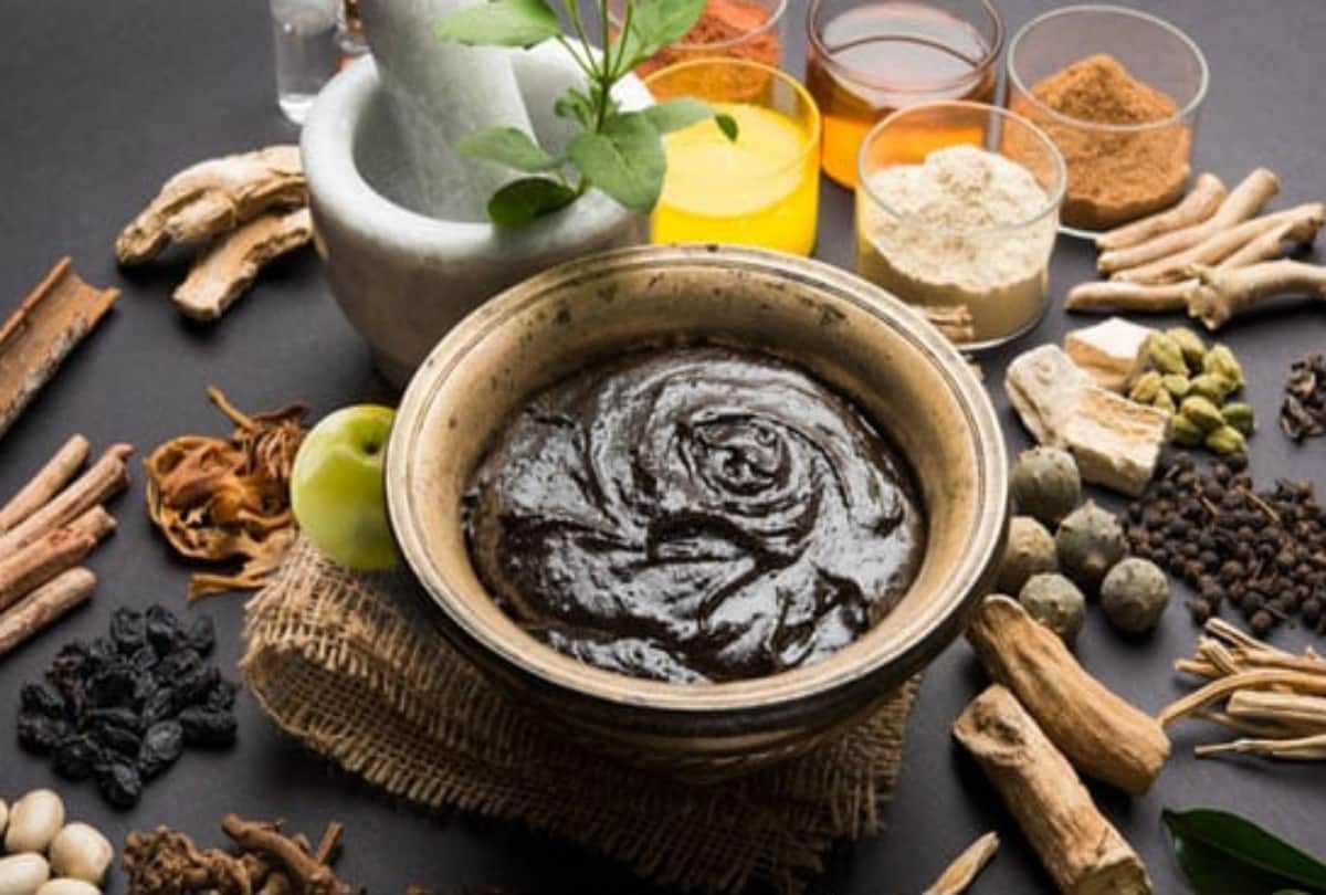 how to make chyawanprash at home in hindi chyawanprash ingredients recipe