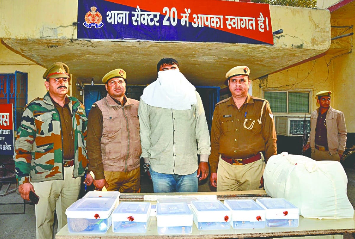 Bawaria gang sixth member accused arrested in noida