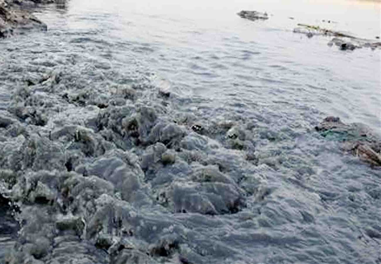 21 tanneries will be opened after kumbh's first bath