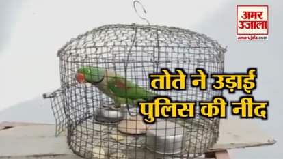 fight between two groups for a parrot in Haridwar police finding solution