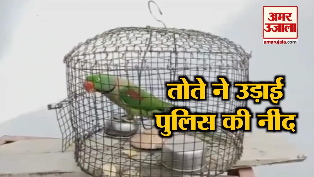 HARIDWAR PARROT