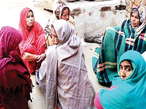 eat crop anna, farmer's dead shock