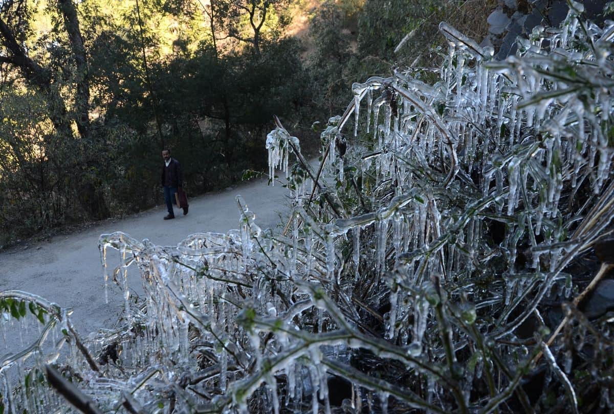 himachal weather report minus degree temperature in eight cities of himachal pradesh