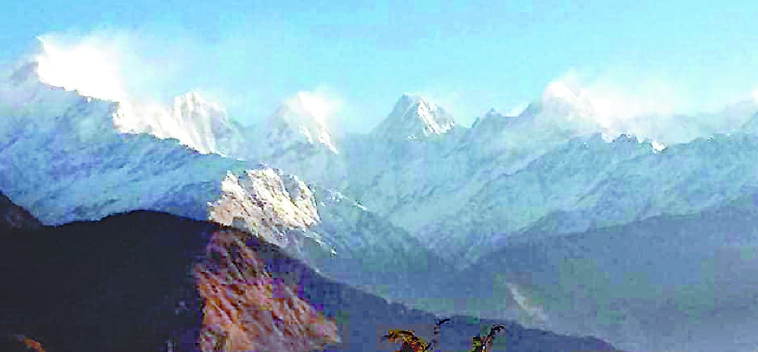 Afghans rising from Uttarakhand have cooled down