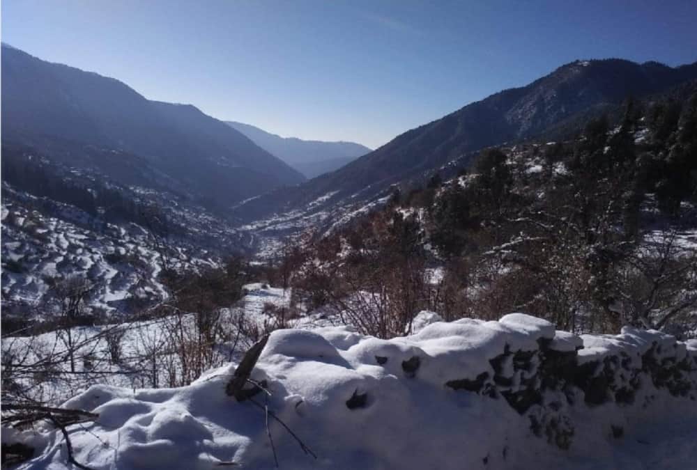 New Year 2019 Snowfall in uttarakhand 