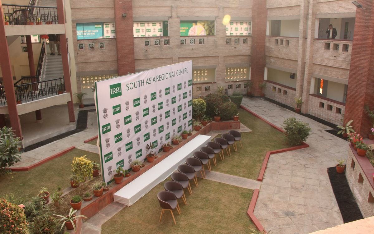 PM narendra modi will inaugurate international rice research institute in varanasi
